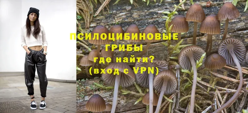 кракен ССЫЛКА  где продают наркотики  Югорск  Псилоцибиновые грибы Magic Shrooms 